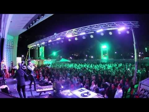 The Rhythm Foundation - Unforgettable Live Music Experiences