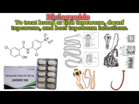 Niclosig Niclosamide Tablet