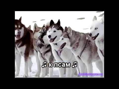 Песни Multiprogramm