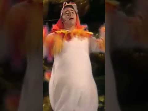 ich bin so froh dass ich ein Hähnchen bin Bullyparade