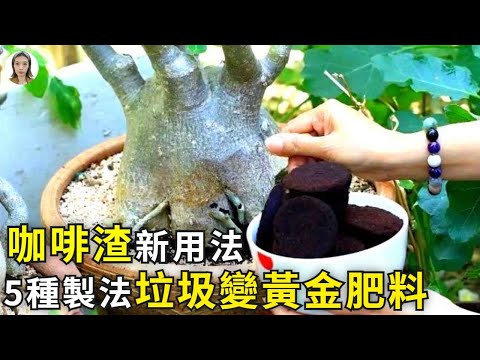 實用！咖啡渣在園藝中的5種新用法，能解決不開花生根慢等99%的種植問題，是不用花1分錢就能得到的黃金肥料|花花世界
