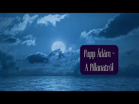 Papp Ádám - A Pillanatról