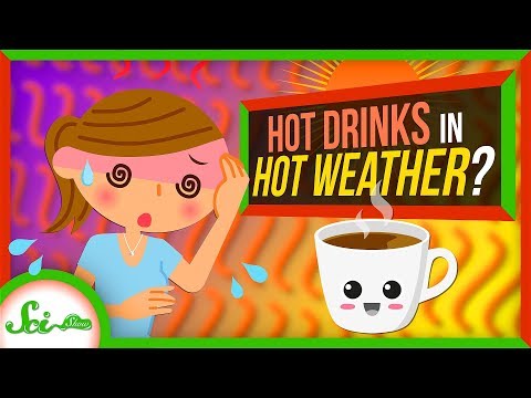熱い飲み物で体を冷やすことができるのか？ (Can a Hot Drink Cool You Down?)