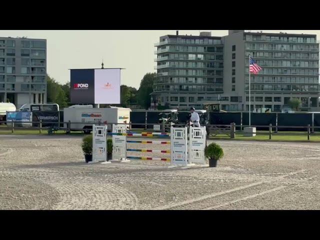 Half-brother of the mother of Porsche RV is the CSI 1.55m jumping stallion Pegase van't Ruytershof with rider Jeroen de Winter.