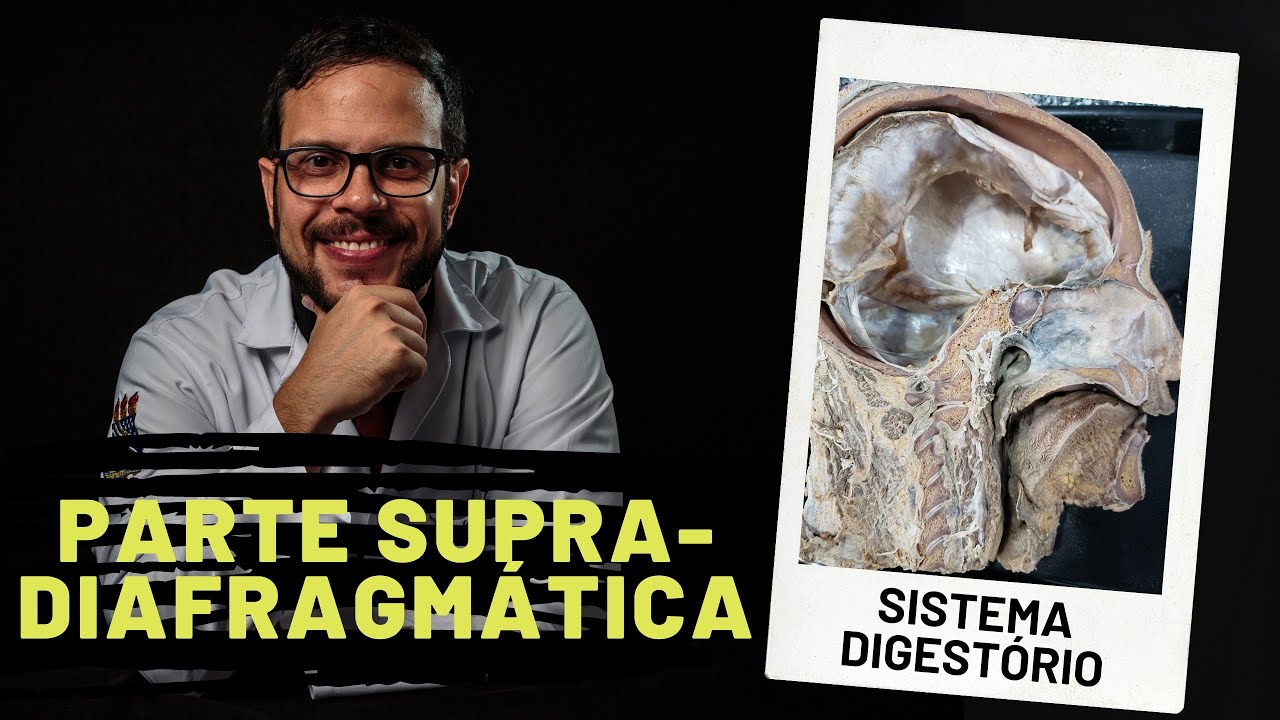 SISTEMA DIGESTÓRIO: PARTE SUPRADIAGRAGMÁTICA - AULA PRÁTICA COM PROF. ANDRÉ OLIVEIRA