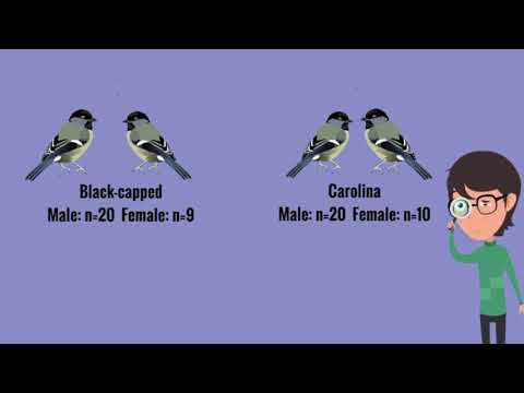 F19-2 Olfactory Preferences in Chickadees