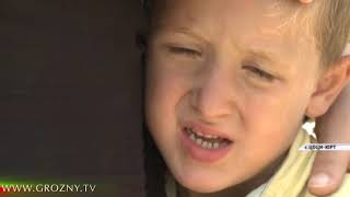 В Чечне продолжается работа по воссоединению семей