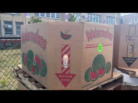 Newark Meal Distribution