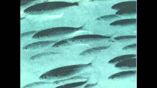 flying saucer attack  -  At Night