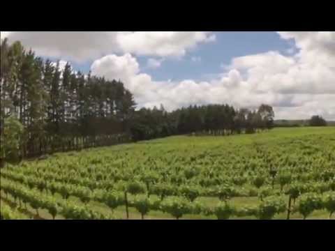 Hexacoper over Kerr Farm Vineyard Early Summer 13