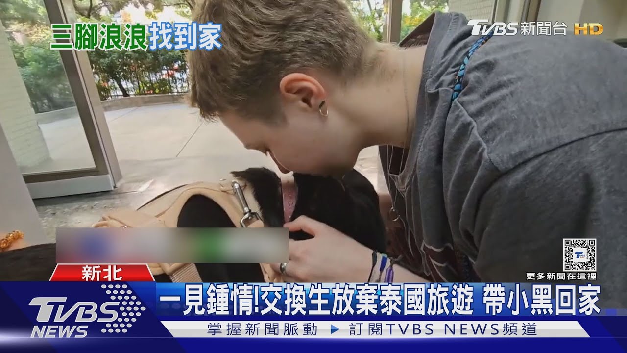 偶遇浪浪! 「一個眼神」交換生決定帶回德國