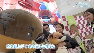 2025/1/7放送・知ったかぶりカイツブリにゅーす