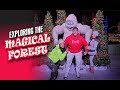 EXPLORING THE MAGICAL FORREST!