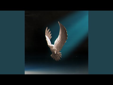 Thumbnail for Labe video