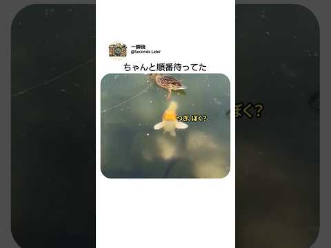 三番目が順番待ちしてた