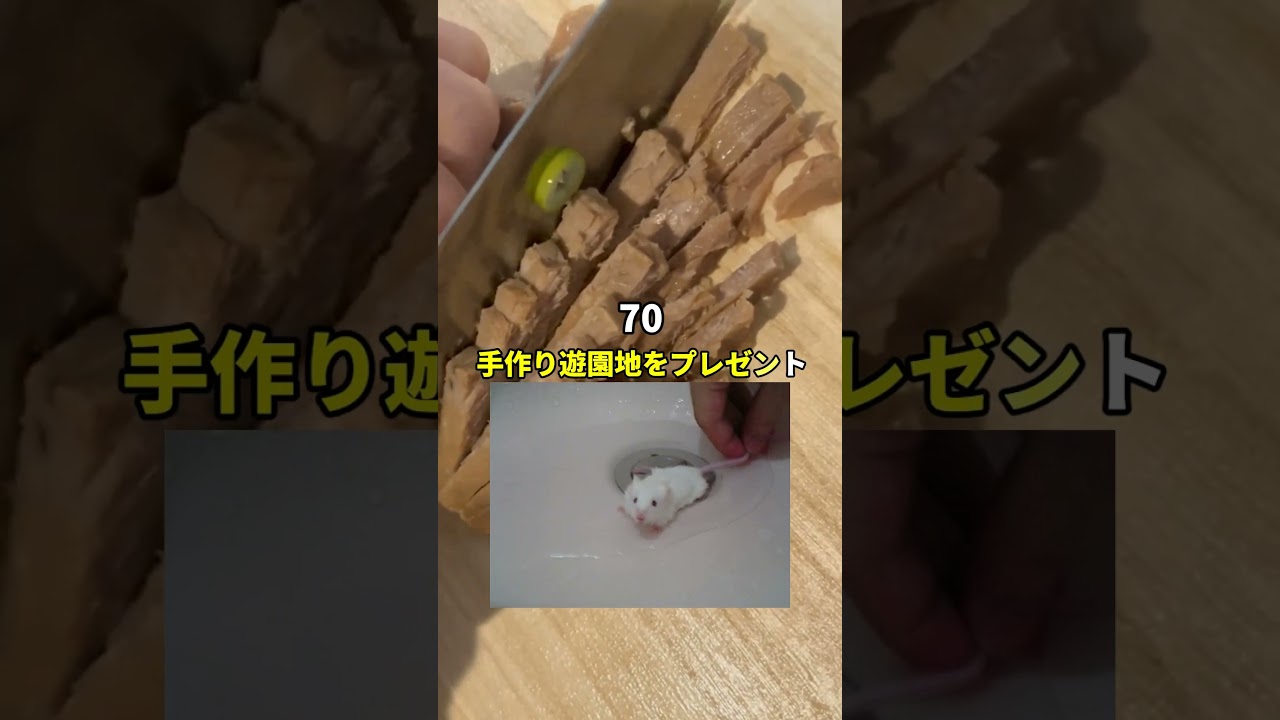 実験用のマウスを引き取ってきた#shorts #2ch