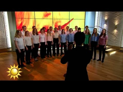 Sofia Kammarkör - I furuskogen - Nyhetsmorgon (TV4)