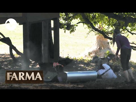 Eva kvôli svojmu psovi vyvolala obrovskú hádku! - FARMA