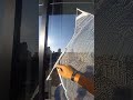 Limpeza Profissional De Vidros