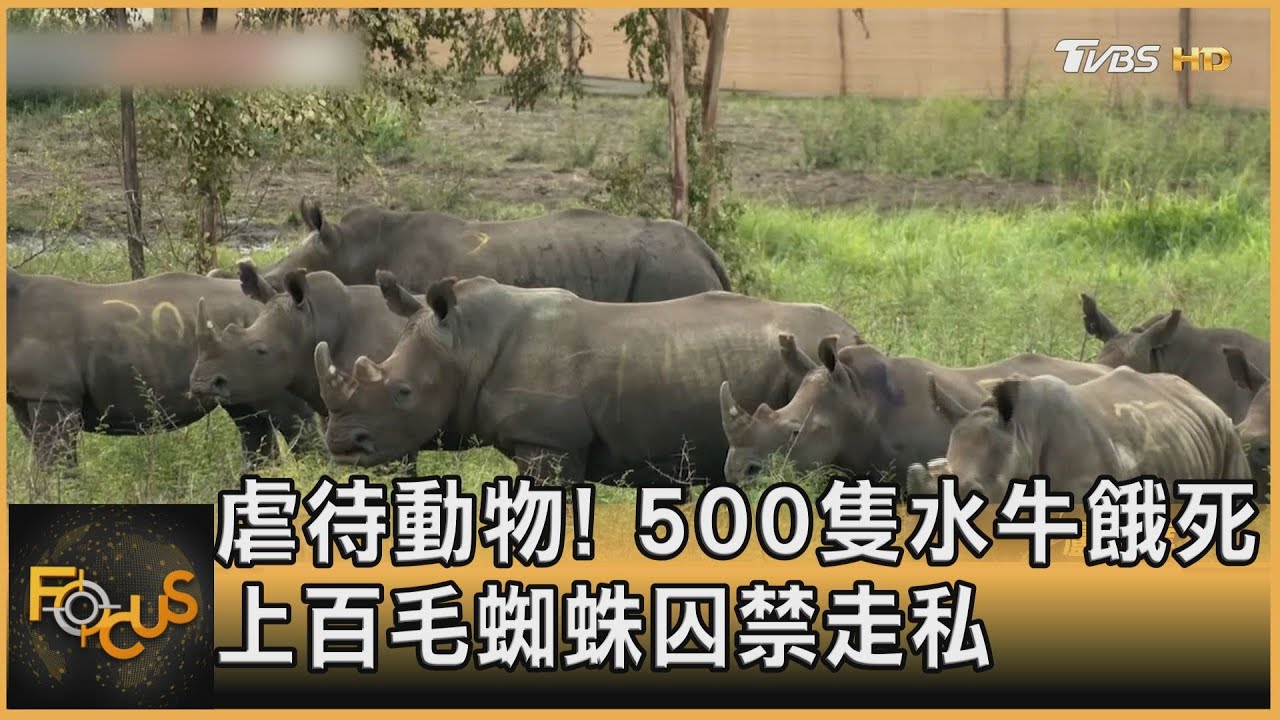 虐待動物!500隻水牛餓死 上百毛蜘蛛囚禁走私