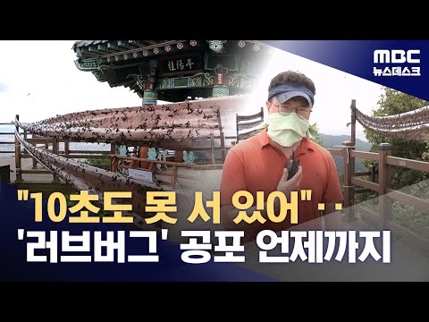 아이콘