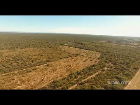 Campo EN VENTA Cruz del Eje
