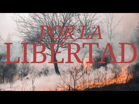 POR LA LIBERTAD - BRAIAN SIMALDONI