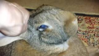 Pentecost Through Advent