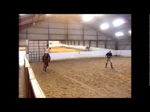 3-årige Rosmarin efter Blue Hors Romanov