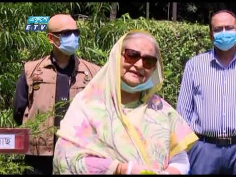 যার যতটুকু জায়গা আছে, সেখানে গাছ লাগানোর আহবান জানিয়েছেন প্রধানমন্ত্রী শেখ হাসিনা
