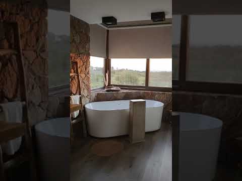 Video 1