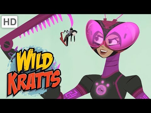 Wild Kratts 💪 Activate Tough Insect Powers! | Kids Videos