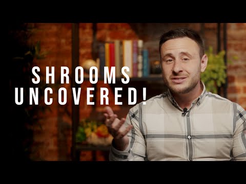 How Long Do Shrooms Stay In Your System?