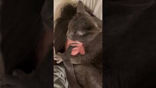 She&#39;s Lucky to be Alive