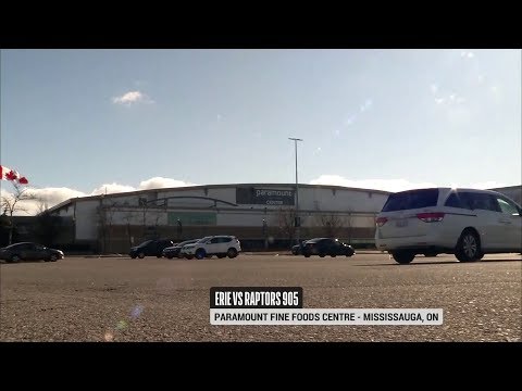 Game Highlights: Erie BayHawks at Raptors 905 - January 13, 2019