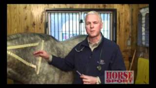 Thumbnail for Equine Intramuscular Injections video