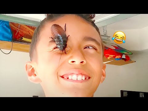 Creepy Bug Vs. Human || TOP FUNNY BUG MOMENTS COMPILATION