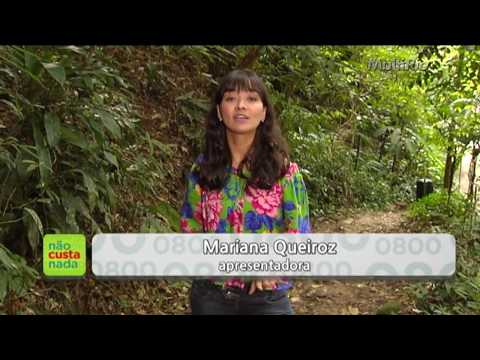 Floresta da Tijuca | Não Custa Nada