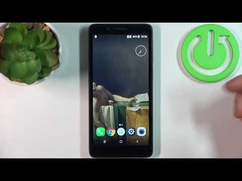 How to Check IMEI Number and Serial Number on ALCATEL 1C (2019)