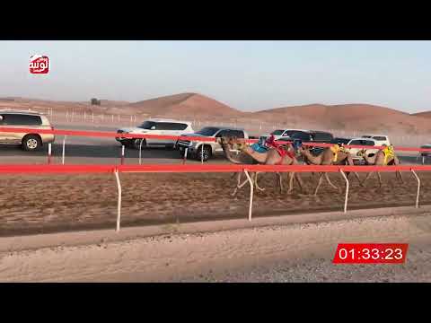 ش 7 (الشاهينيه) لـ محمد سالم بن عيسى الدرعي 3:04:68 ، شارة الصندوق 2026/08/29 فطامين الرقيعات