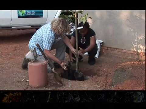 In memory of Johann Botha