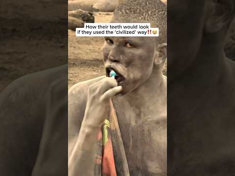 Miswak ist ein natürlicher Zahnreinigungsstift aus dem Baum Salvadora persica, der in ganz Afrika...