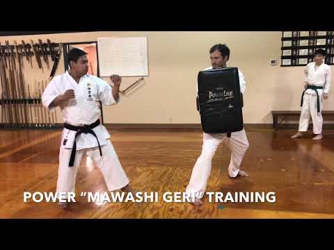 Power MAWASHI Geri training #karate #roundhousekick
