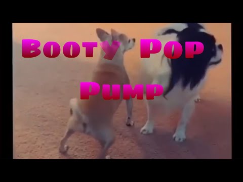 Booty Pop Pump