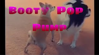 Tony Baker Type Beat - BOOTY POP PUMP
