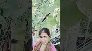 Download lagu 21 September 2022 mp3