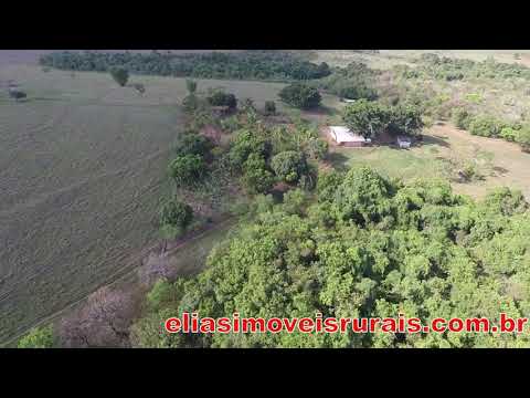 Fazendinha com área 4,25 Alqueires / 20.5875 Hectares.