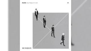 [INSTRUMENTAL] WINNER - FOOL