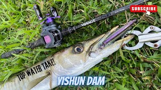 Download lagu Episode 20: Barracuda Membalas Serangan! Serangan Topwater Luar Biasa di Bendungan Yishun | Memancing di Singapura mp3