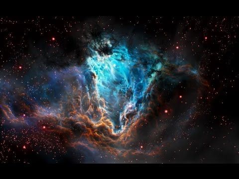 Shamanizm Parallelii - Space Butterfly [Visualization]